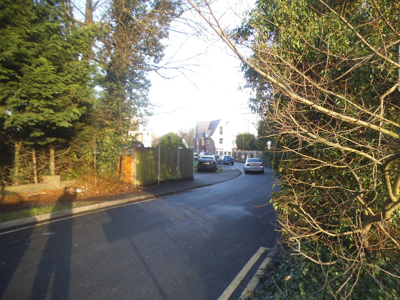 Boreham Holt, one of the roads where more resident permit bays are proposed
